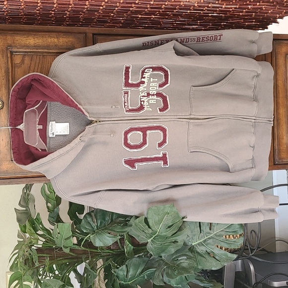 Disneyland Resort 1955 Zip front hooded sweatshirt.  Men's size M - Picture 1 of 7
